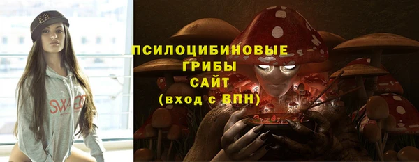 прущая мука Армянск