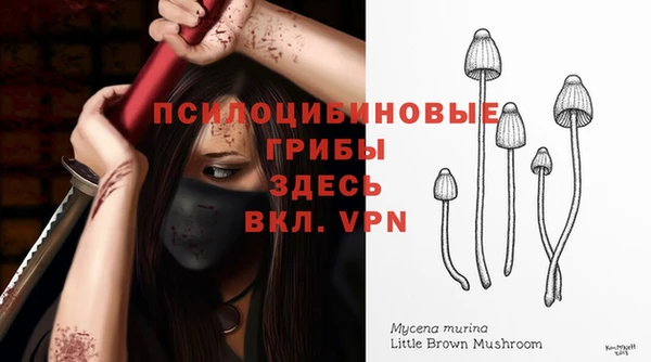 прущие грибы Нефтекумск