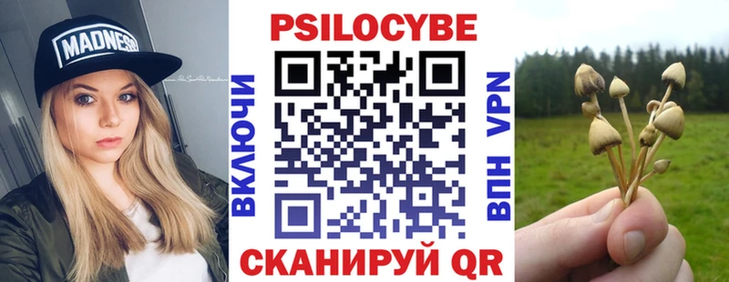 магазин    Суровикино  Псилоцибиновые грибы Cubensis 